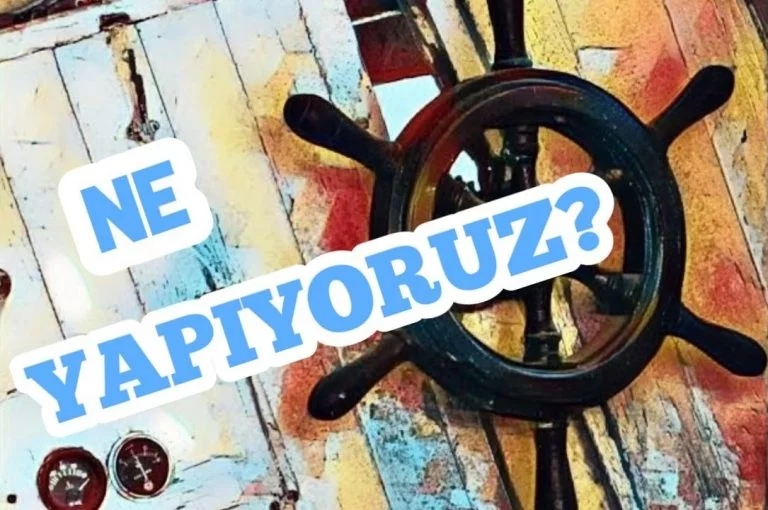 Ne Yapıyoruz? Ya da Rotamız Ne Yönde? 12 Ne Yapıyoruz? Ya da Rotamız Ne Yönde?